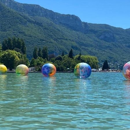 Ferienwohnung Ravissant T2 - Le Temps D'Une Pause Annecy Exterior foto